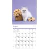 image Kittens Curious 2025 Wall Calendar Third Alternate Image width=&quot;1000&quot; height=&quot;1000&quot;