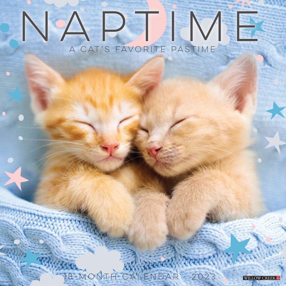 Cat Naps 2023 Calendar Calendars