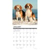 image Just Beagles 2026 Wall Calendar Second Alternate Image