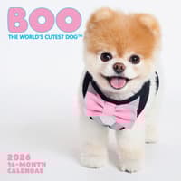 image Boo 2026 Wall Calendar Main Image