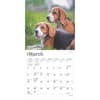 image Beagle 2025 Mini Wall Calendar Second  Alternate Image width=&quot;1000&quot; height=&quot;1000&quot;