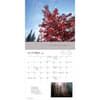 image Tao 2024 Wall Calendar Alt2
