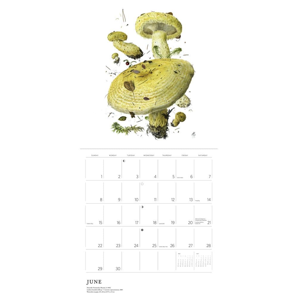 Mushrooms Viazmensky 2025 Wall Calendar Third Alternate Image width="1000" height="1000"