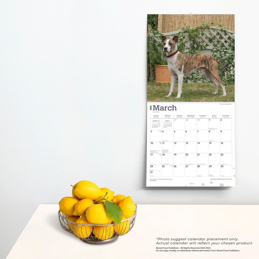 American Staffordshire Terriers 2024 Wall Calendar Third Alternate Image width=&quot;1000&quot; height=&quot;1000&quot;