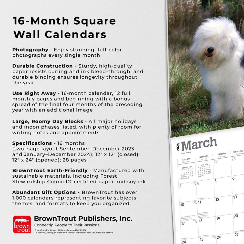 Old English Sheepdogs 2024 Wall Calendar Fourth Alternate Image width=&quot;1000&quot; height=&quot;1000&quot;