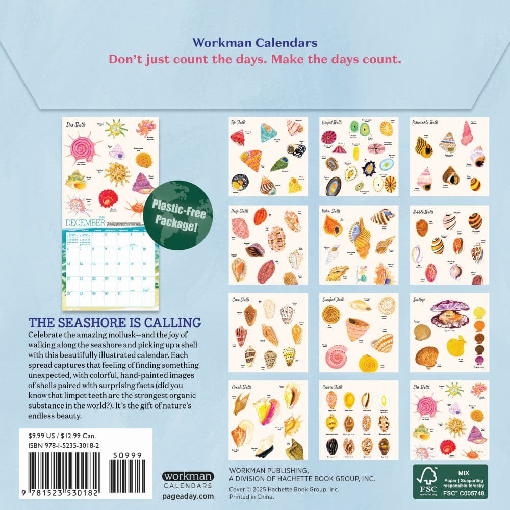 Searching for Seashells 2026 Mini Wall Calendar First Alternate Image