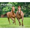 image Horses Deluxe 2025 Wall Calendar Main Product Image width=&quot;1000&quot; height=&quot;1000&quot;