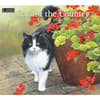 image Cats in the Country 2026 Wall Calendar by Susan Bourdet Main Image