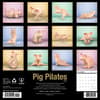 image Pig Pilates 2025 Wall Calendar First Alternate Image width="1000" height="1000"