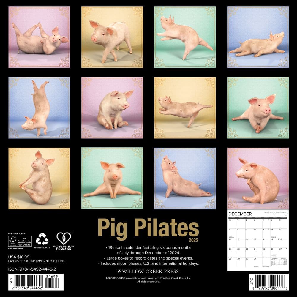 Pig Pilates 2025 Wall Calendar First Alternate Image width="1000" height="1000"