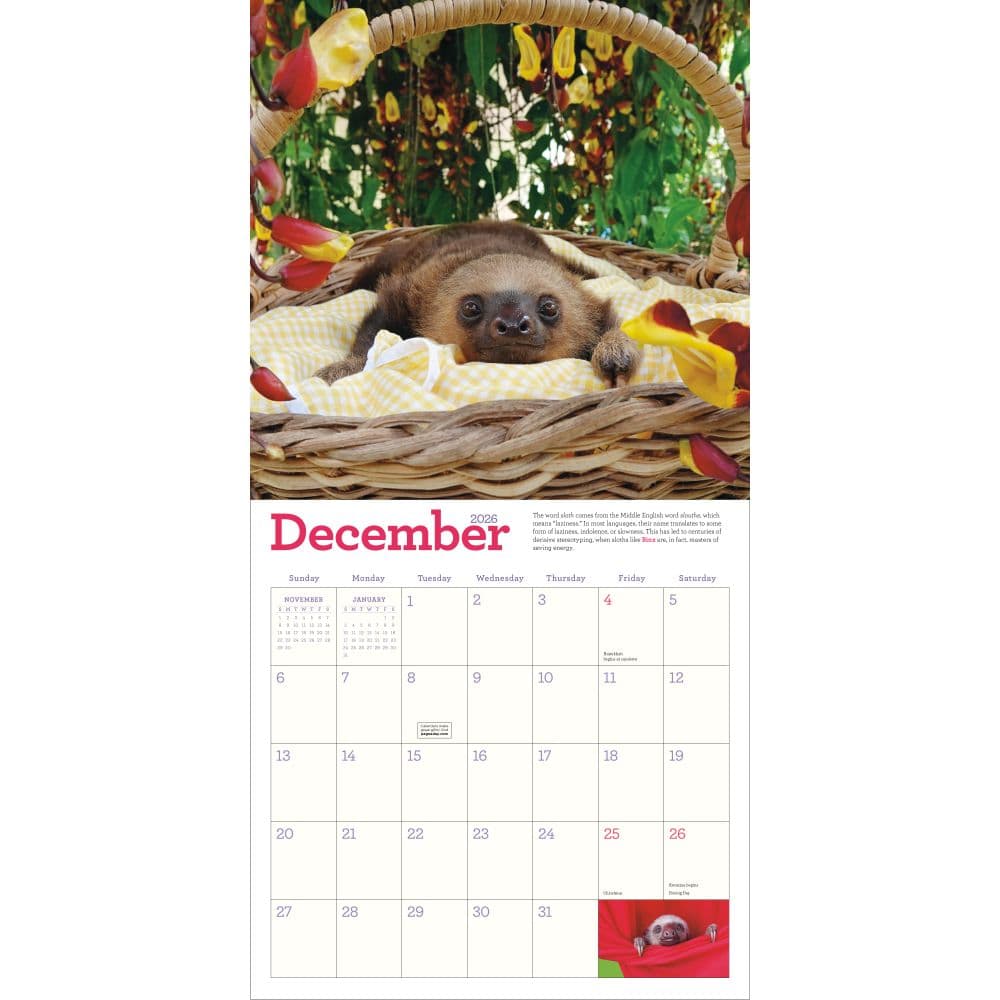 Hangin With Sloths 2026 Wall Calendar Fourth Alternate Image