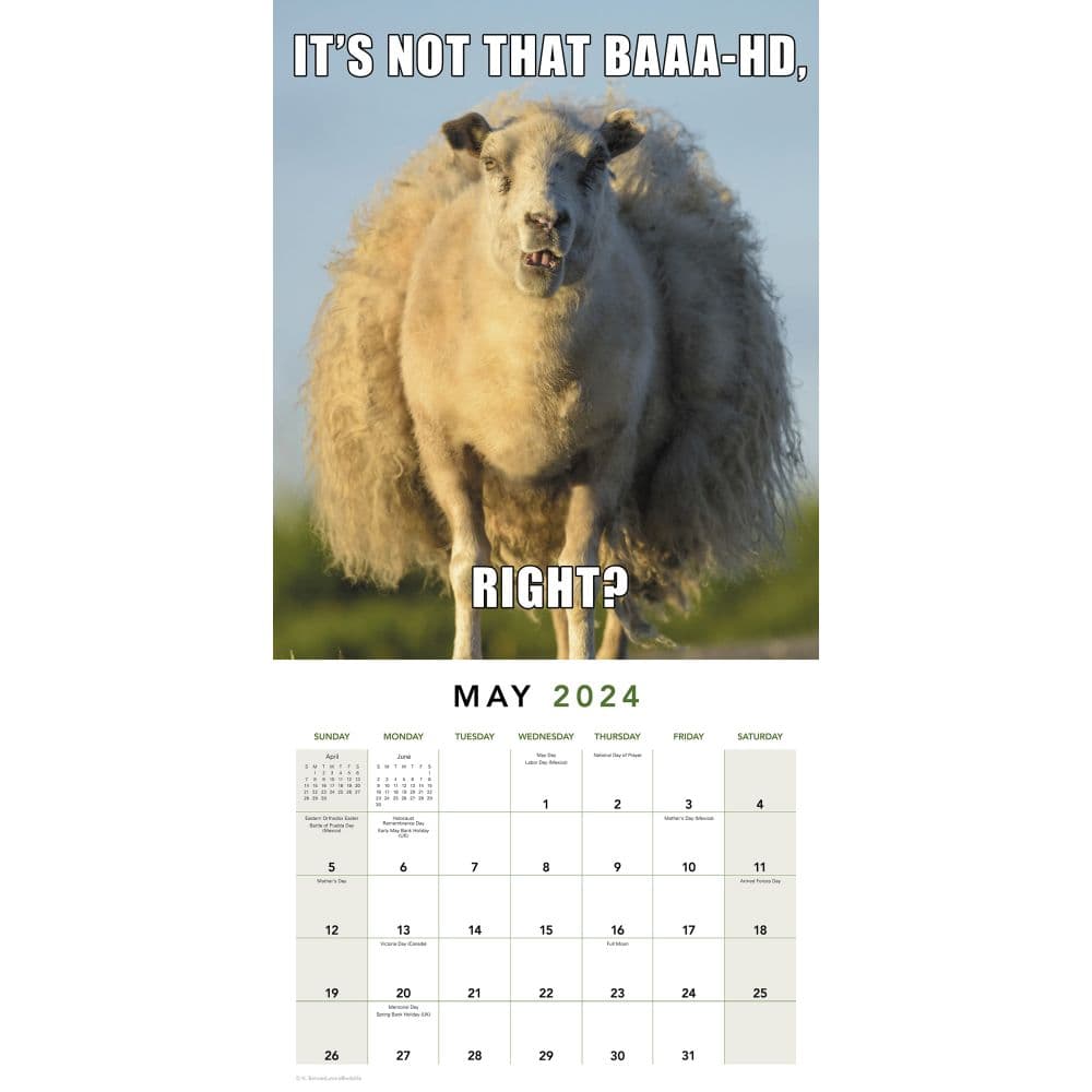 Animal Memes 2024 Wall Calendar Interior 2