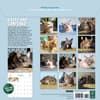 image Cats on Catnip 2026 Wall Calendar First Alternate Image