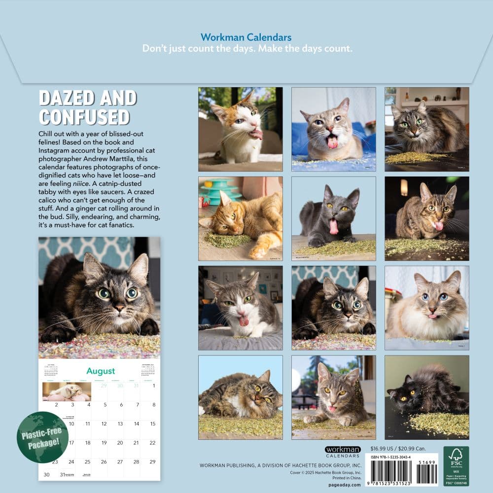 Cats on Catnip 2026 Wall Calendar First Alternate Image