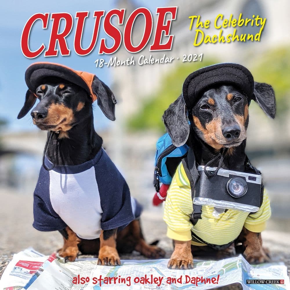 Crusoe the Celebrity Dachshund Wall Calendar