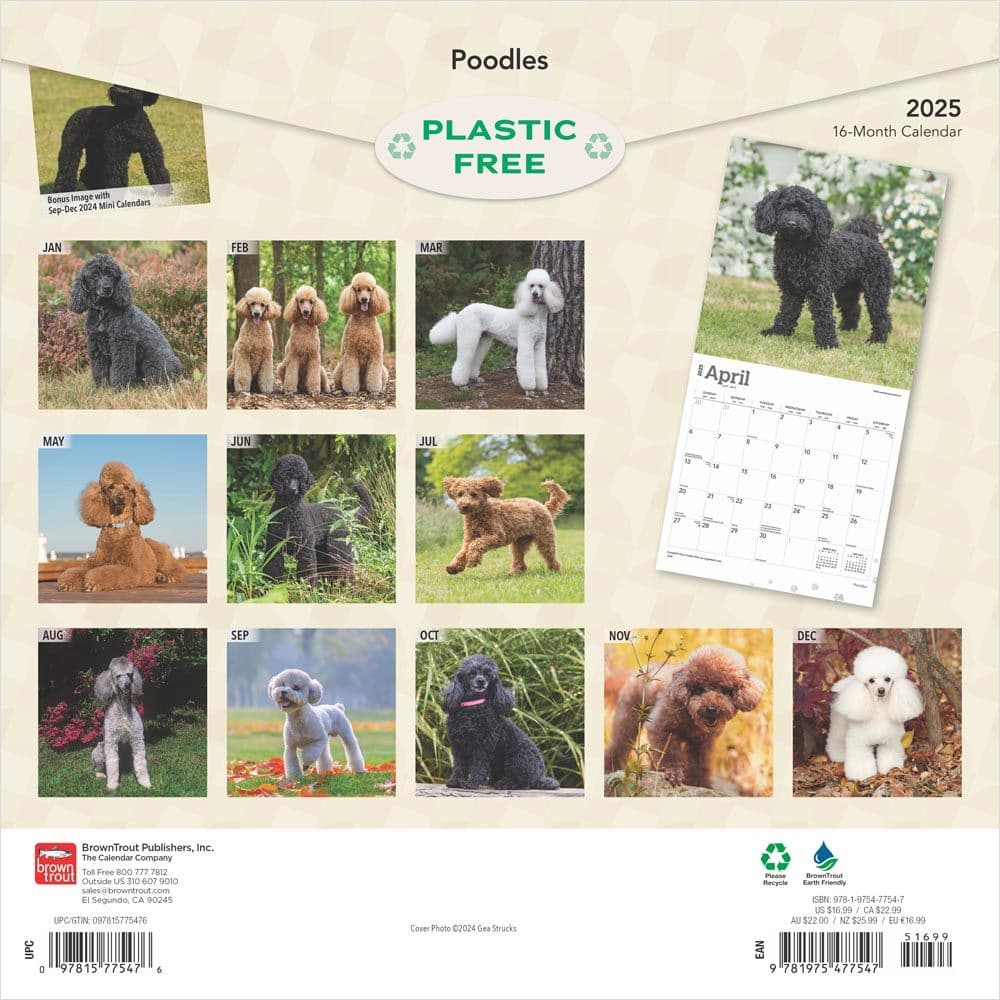 Poodles 2025 Wall Calendar First Alternate Image width=&quot;1000&quot; height=&quot;1000&quot;