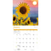 image Sunflowers 2025 Wall Calendar Second Alternate Image width=&quot;1000&quot; height=&quot;1000&quot;