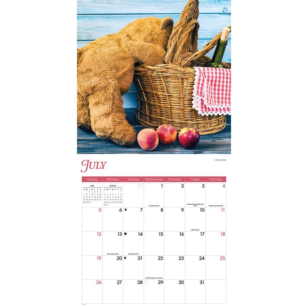 Teddy Bears 2026 Wall Calendar Third Alternate Image