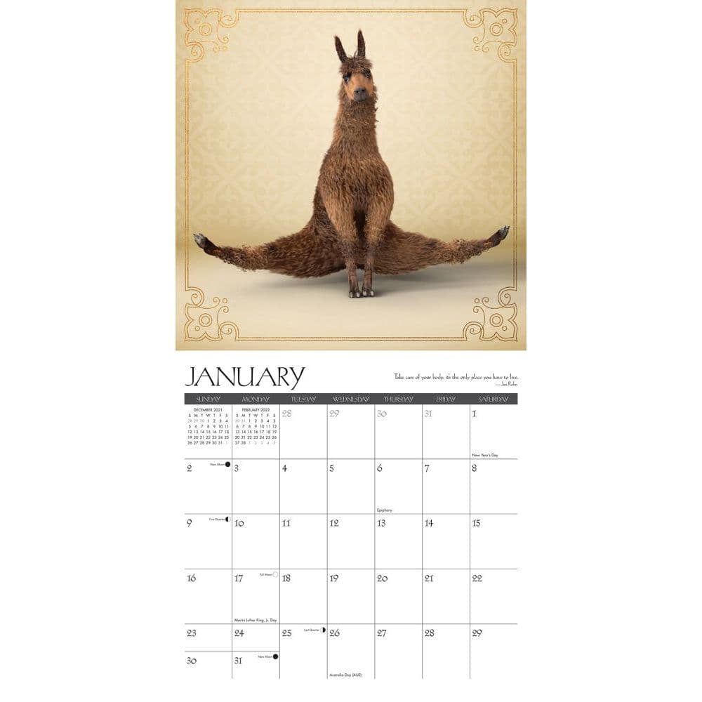 Llama Yoga 2021 Wall Calendar Free Shipping 