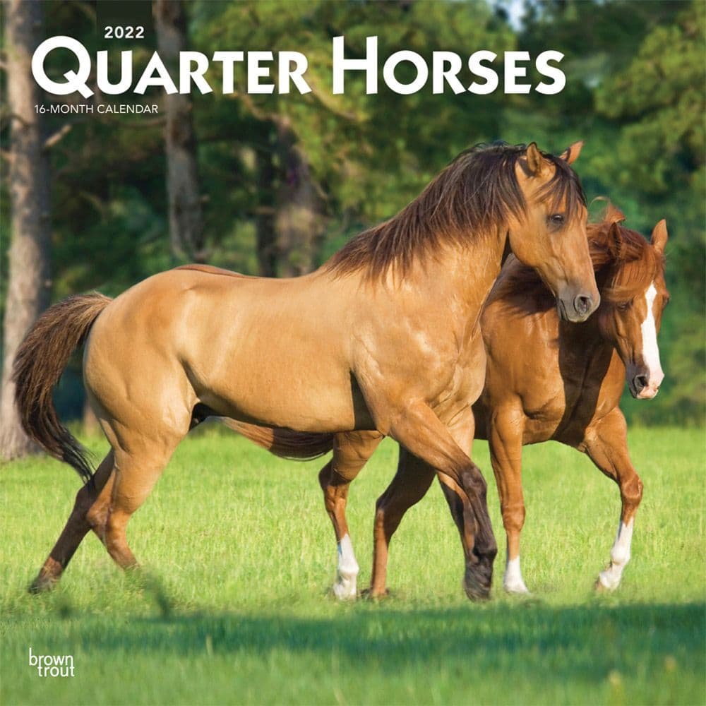 Quarter Horses 2022 Wall Calendar - Calendars.com