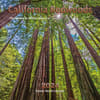 image California Redwoods 2024 Wall Calendar Main Product Image width=&quot;1000&quot; height=&quot;1000&quot;