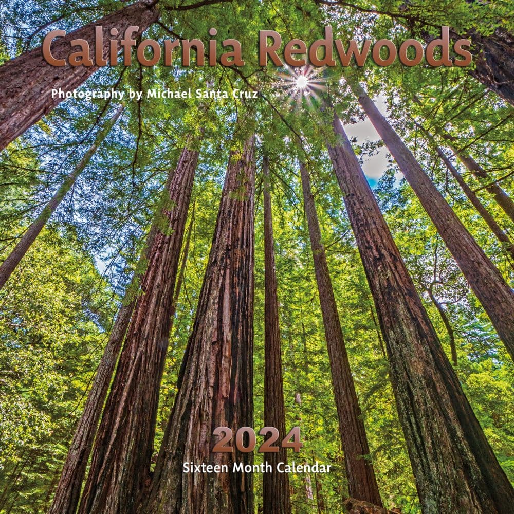 California Redwoods 2024 Wall Calendar Main Product Image width=&quot;1000&quot; height=&quot;1000&quot;