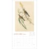 image Audubons Watercolors 2024 Wall Calendar January