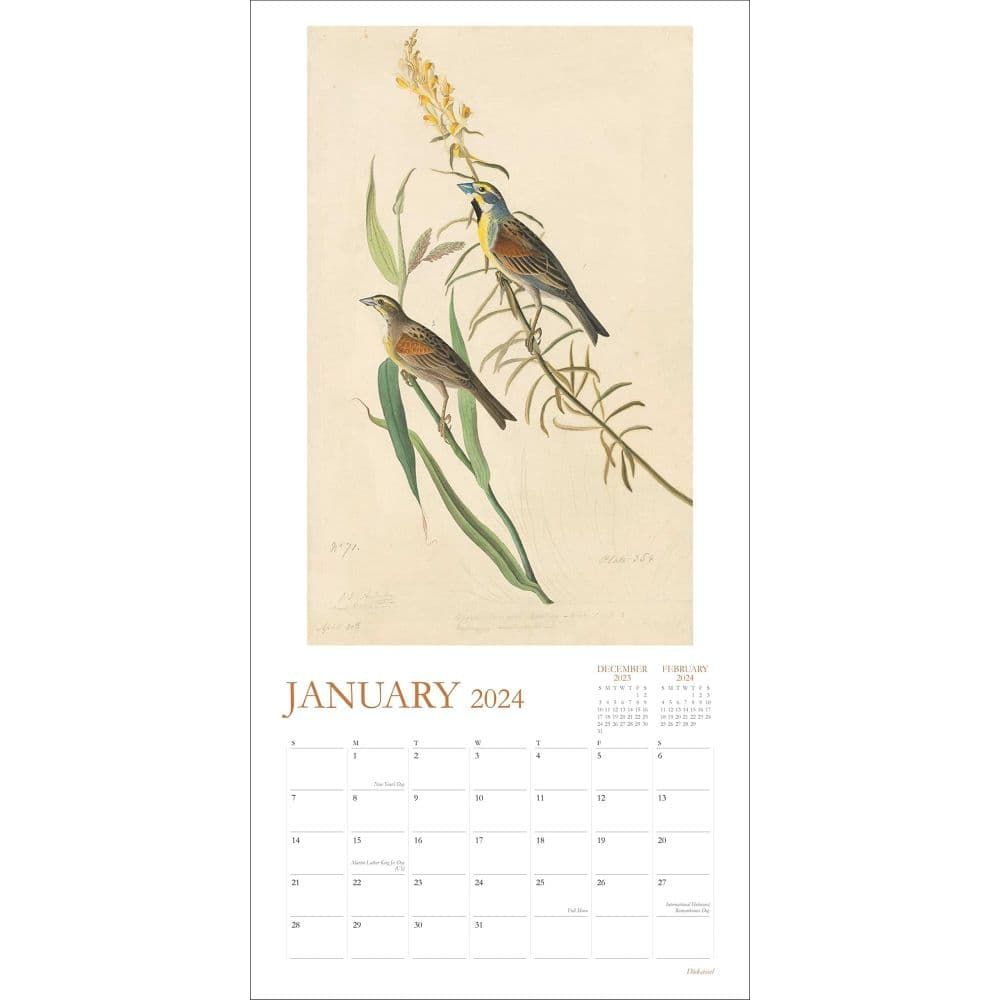 Audubons Watercolors 2024 Wall Calendar