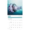 image Jellyfish 2025 Wall Calendar Third Alternate Image width=&quot;1000&quot; height=&quot;1000&quot;