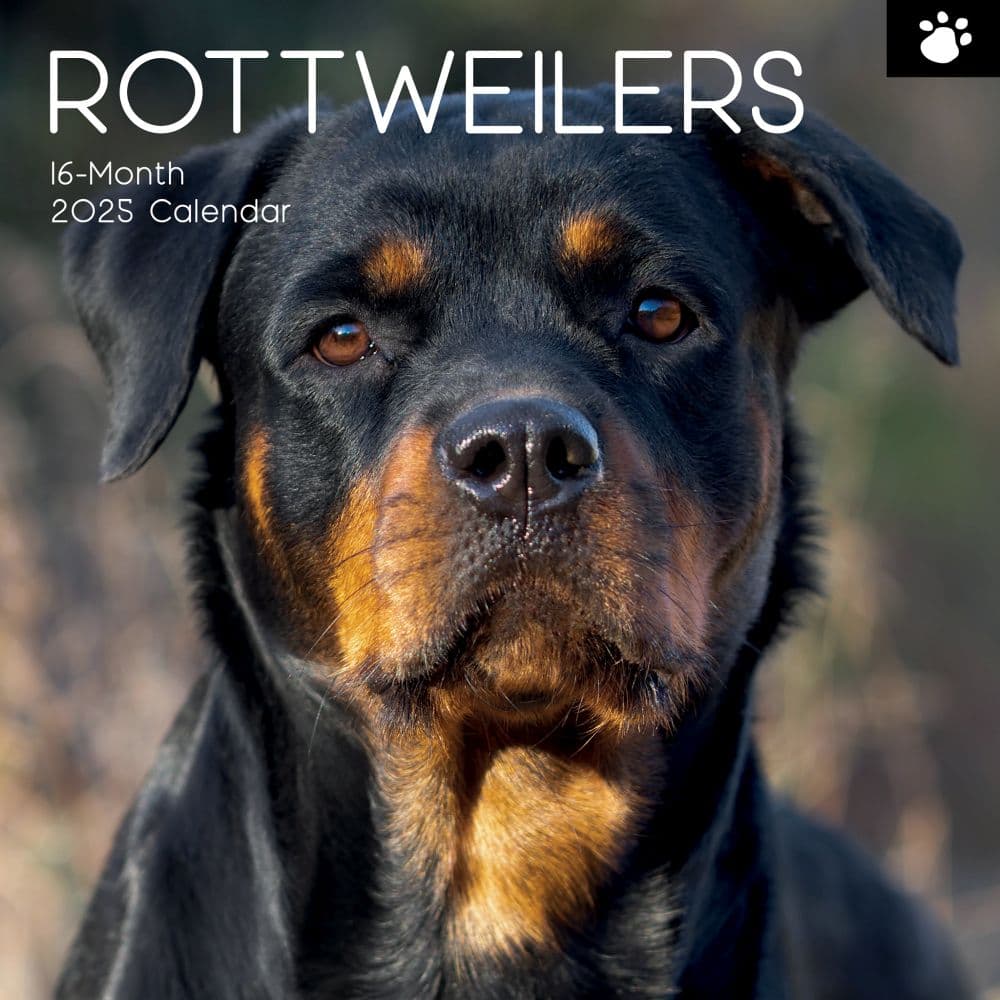 Rottweilers 2025 Wall Calendar