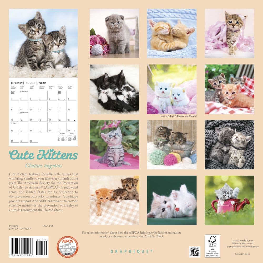 Aspca Calendar 2023 Cute Kittens 2023 Wall Calendar - Calendars.com
