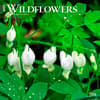 image Wildflowers 2025 Wall Calendar  Main Image