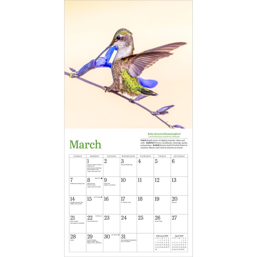 Audubon Hummingbirds 2027 Mini Wall Calendar Third Alternate Image