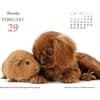 image Puppies and Friends 2024 Desk Calendar Third Alternate Image width=&quot;1000&quot; height=&quot;1000&quot;