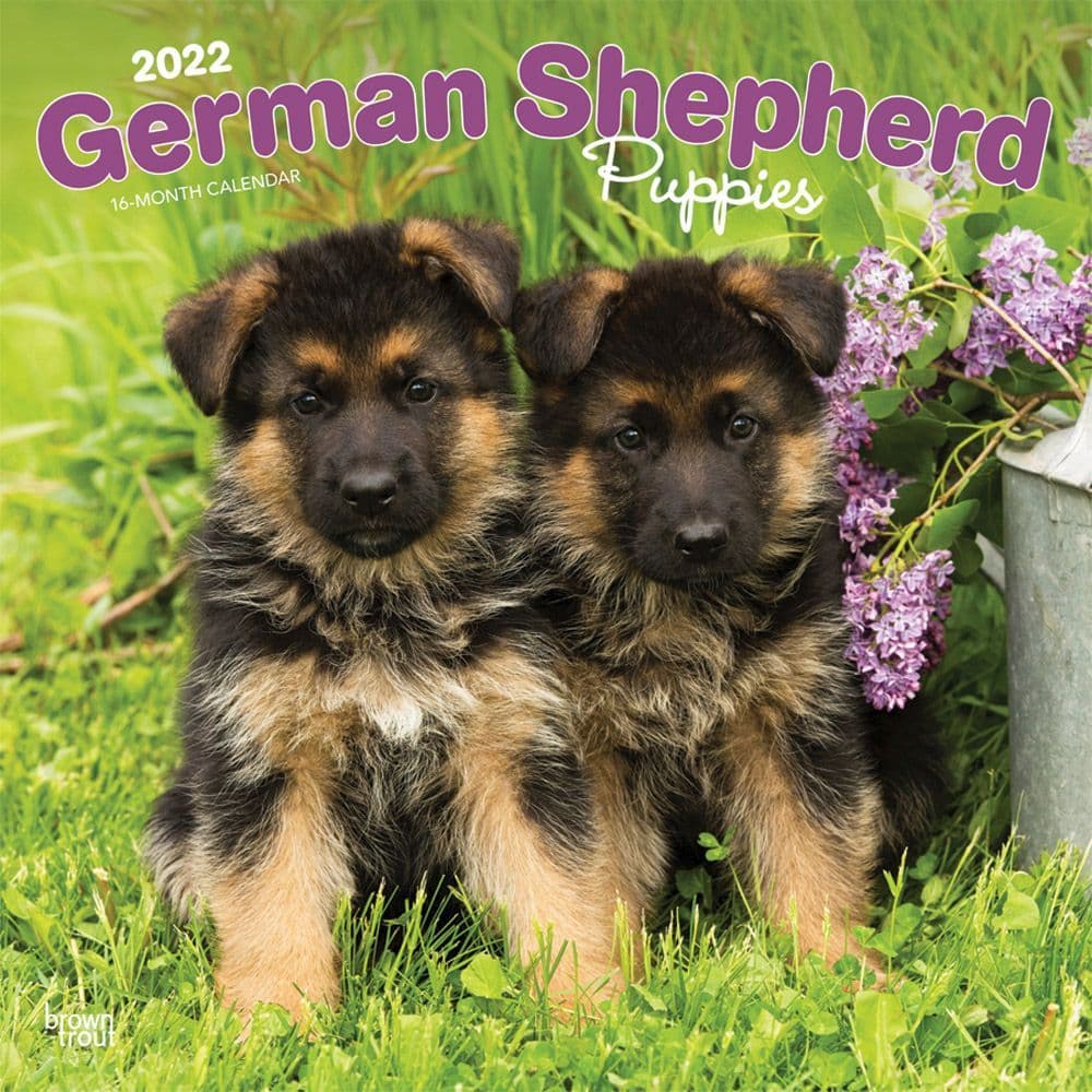 German Shepherd Puppies 2022 Wall Calendar Calendars Com