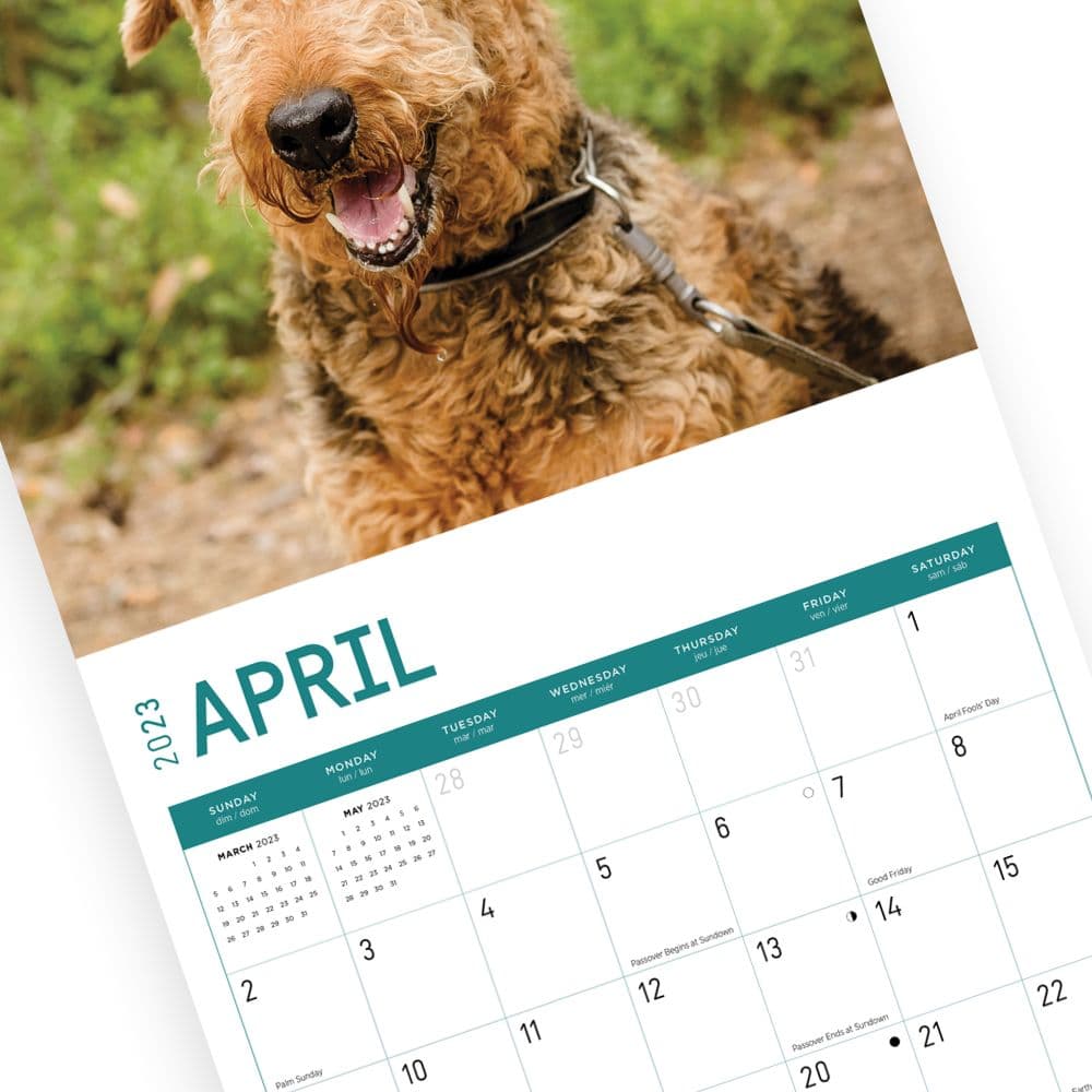 Airedale-Terriers-2023-Wall-Calendar - Calendars.com
