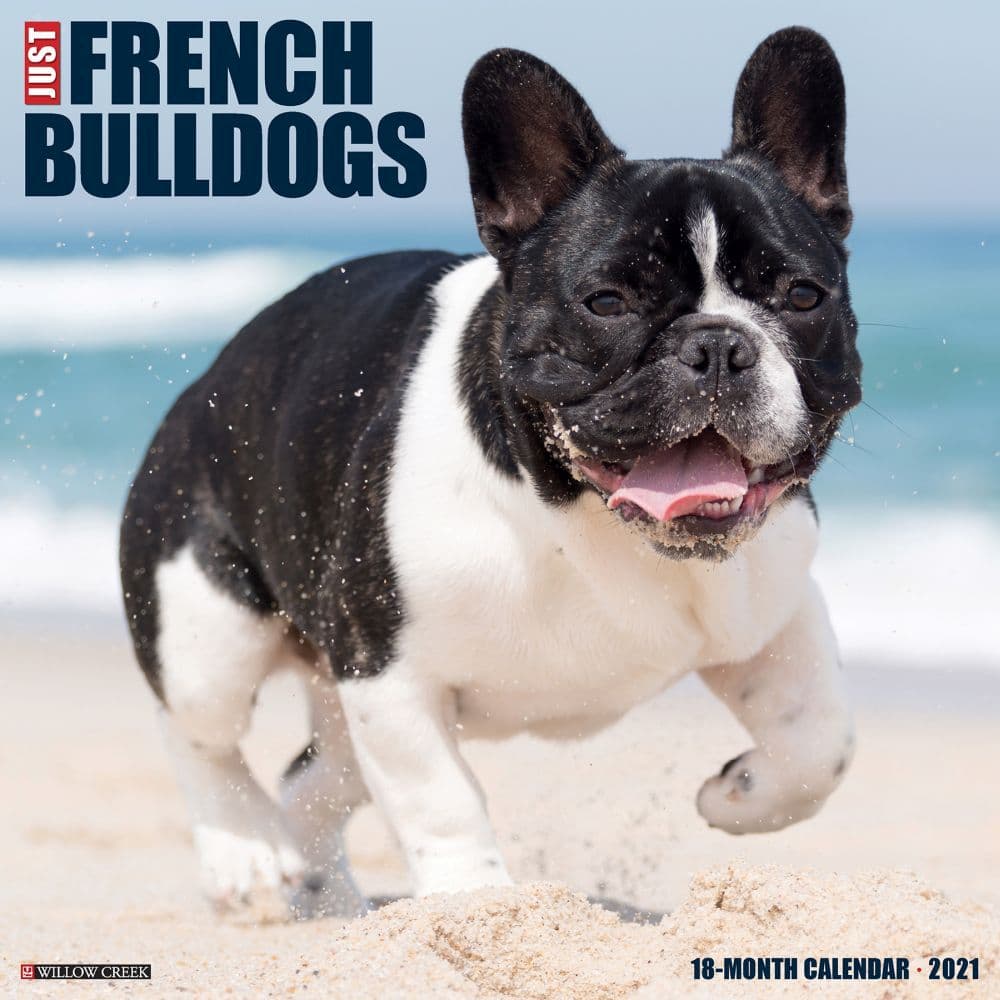 Just French Bulldogs Wall Calendar