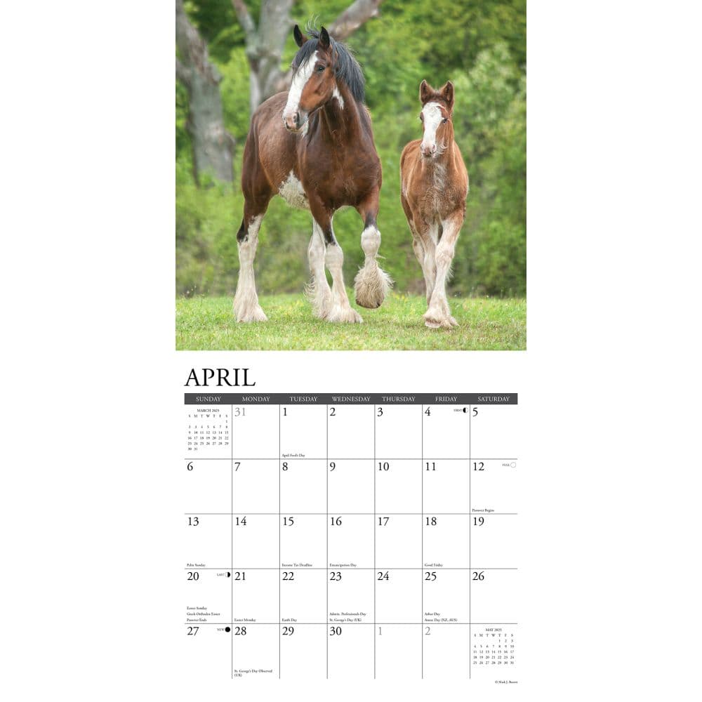Clydesdales Horses 2025 Wall Calendar