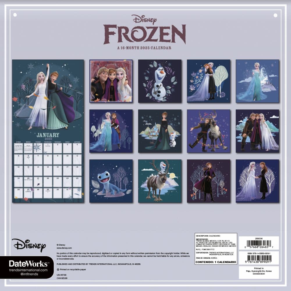 Disney Frozen 2025 Wall Calendar Alt1