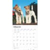 image Fox Terriers 2025 Wall Calendar