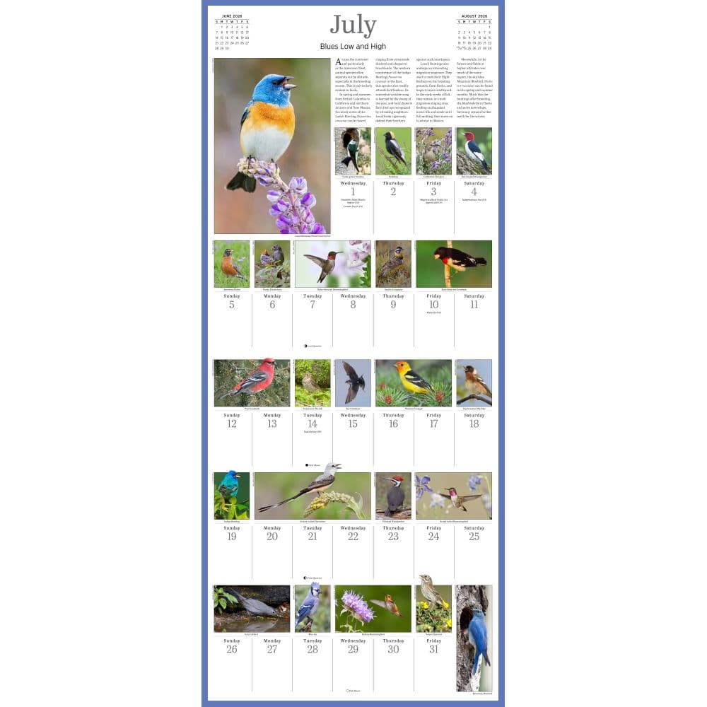 Audubon 365 Songbirds 2026 Wall Calendar Second Alternate Image
