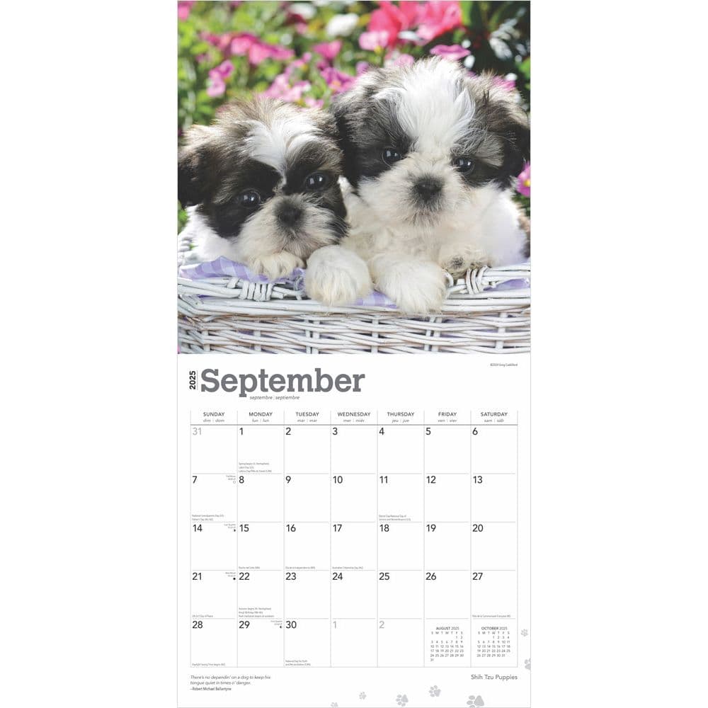 Shih Tzu Puppies 2025 Wall Calendar Third Alternate Image width=&quot;1000&quot; height=&quot;1000&quot;