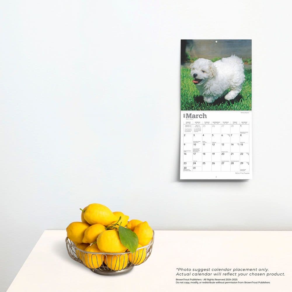 Bichon Frise Puppies 2025 Mini Wall Calendar Fourth Alternate Image width=&quot;1000&quot; height=&quot;1000&quot;