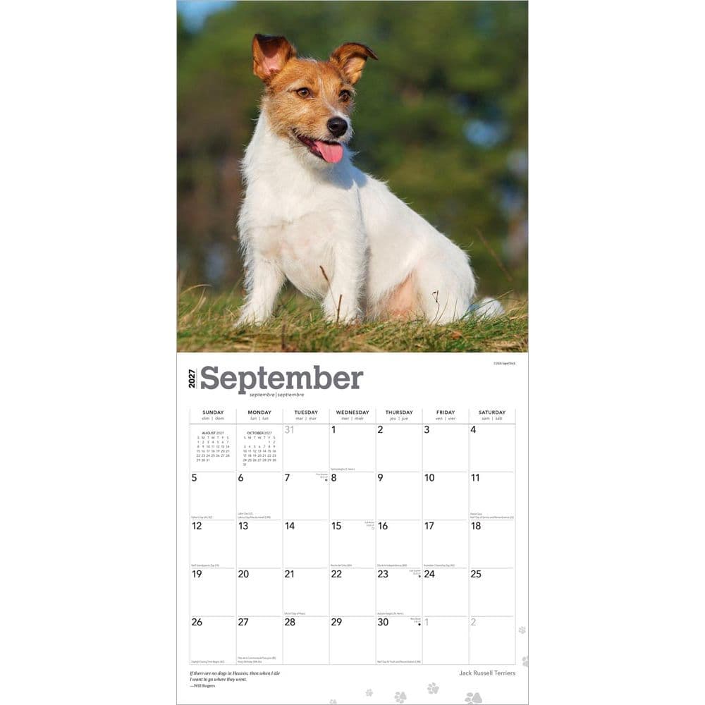 Jack Russell Terriers 2027 Wall Calendar Third Alternate Image