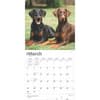 image Dobermans 2025 Wall Calendar Second Alternate Image