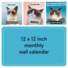 image Grumpy Cat 2024 Wall Calendar alternate 1