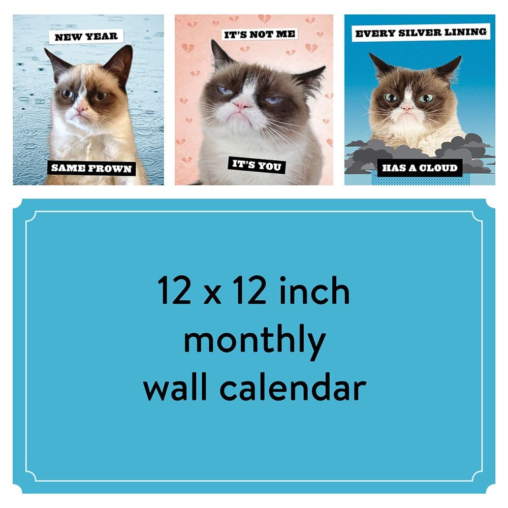 Grumpy Cat 2024 Wall Calendar alternate 1