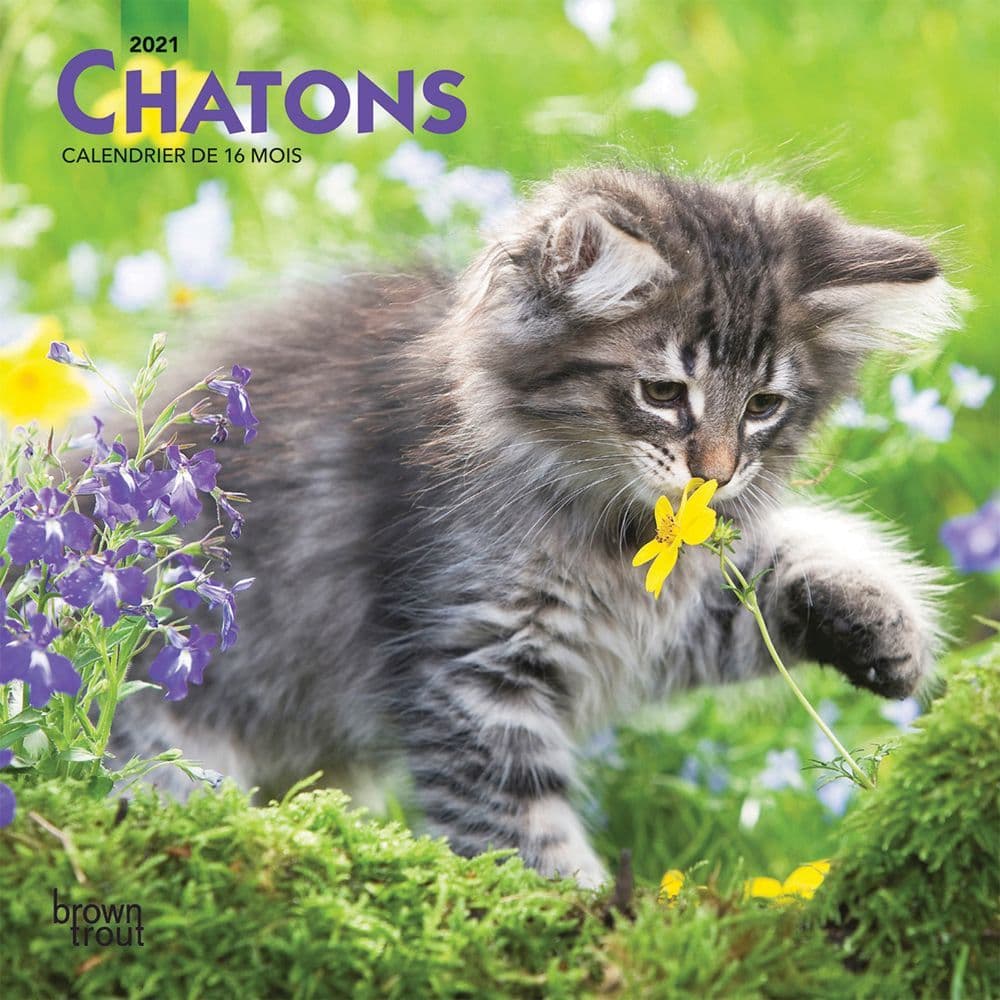 Calendrier Chatons 2023 Chatons Kittens Mini Wall Calendar (French) - Calendars.com