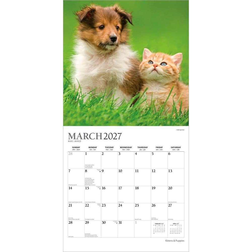 Kittens And Puppies Plato 2027 Wall Calendar Second Alternate Image