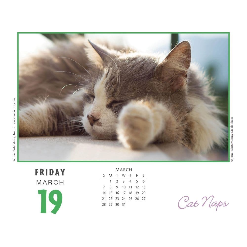 Cat Naps Desk Calendar Calendars Com